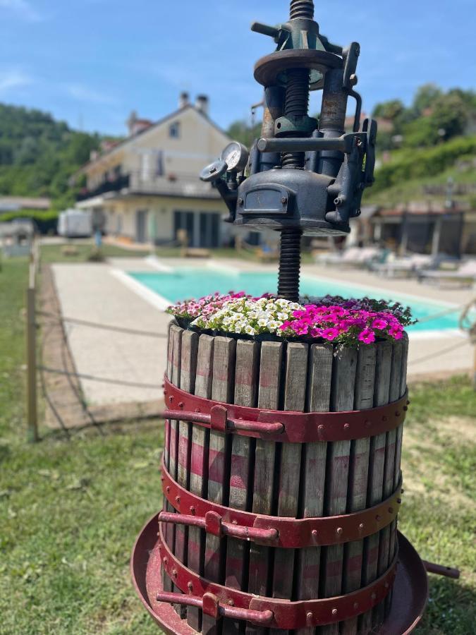 Agriturismo Ippocastano Sciolze Экстерьер фото
